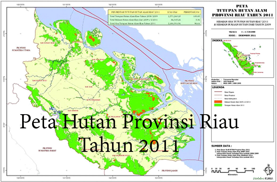 Negeri Riau Dulu Kaya dan Kini Tinggal Sisa-Sisa Dengan Jutaan Ha Hamparan Sawit 